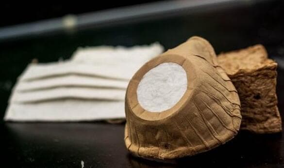 加拿大研发出首款可降解的N95口罩 主要原料为木纤维