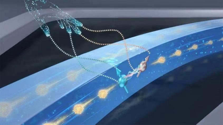 哈工大团队实现碳化硅集成光量子纠缠器件新突破