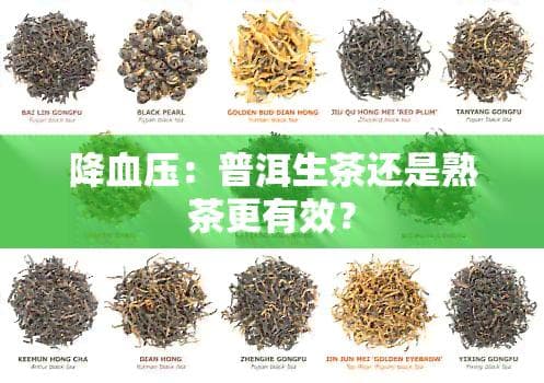 降血压：普洱生茶还是熟茶更有效？