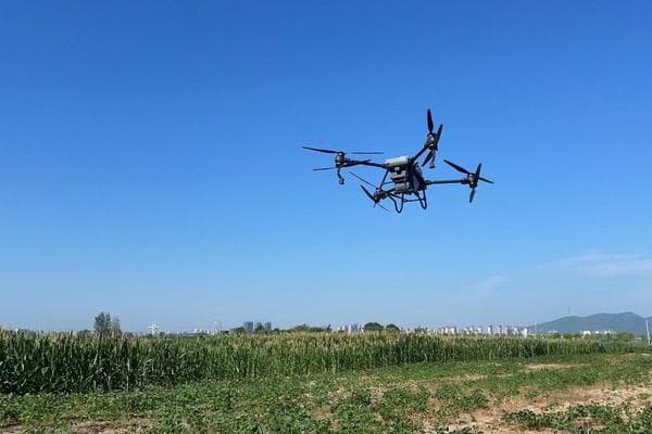 苯醚甲环唑的使用方法与注意事项：从苹果树保护到混配应用