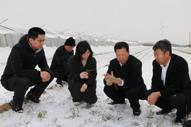 5G改变农村生活：以河北为例的数字化转型之路