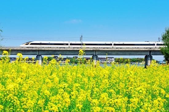 地震来袭时 我坐的高铁够安全吗
