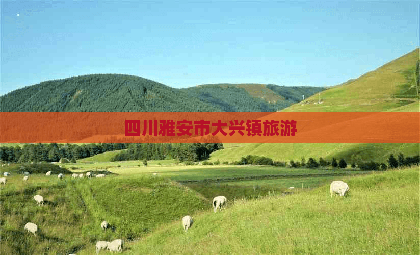 四川雅安市大兴镇旅游攻略：探秘自然奇观与人文风情