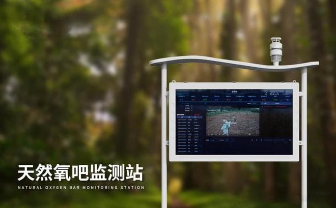 智能化湿地监控：如何通过生态环境监测系统提升湿地管理