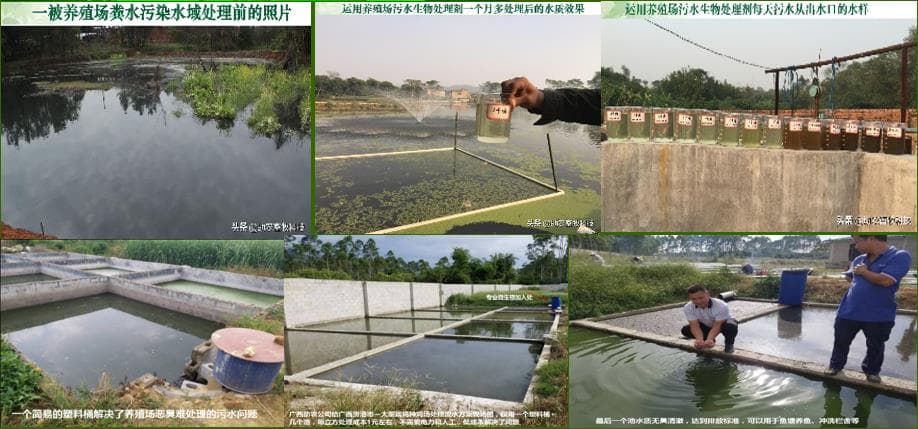 微生物技术是解决养殖场粪污资源化和环保问题的核心