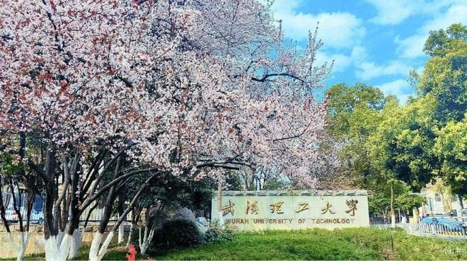 武汉理工大学的遗憾：三所211高校合并，却依旧落选985