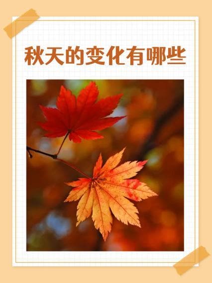 秋天农村变化有哪些变化？秋收时节：农村的蜕变与新貌！