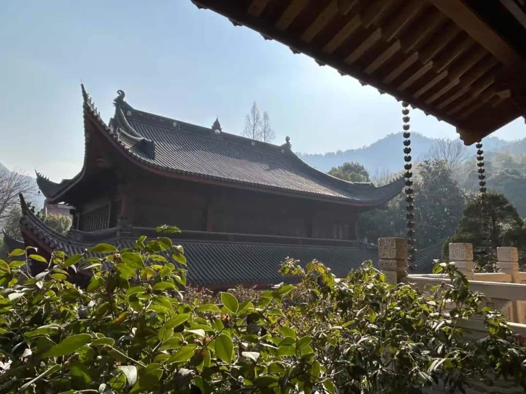用DeepSeek给亲戚朋友算八字，赛博命理师，大模型预测的玄学时刻
