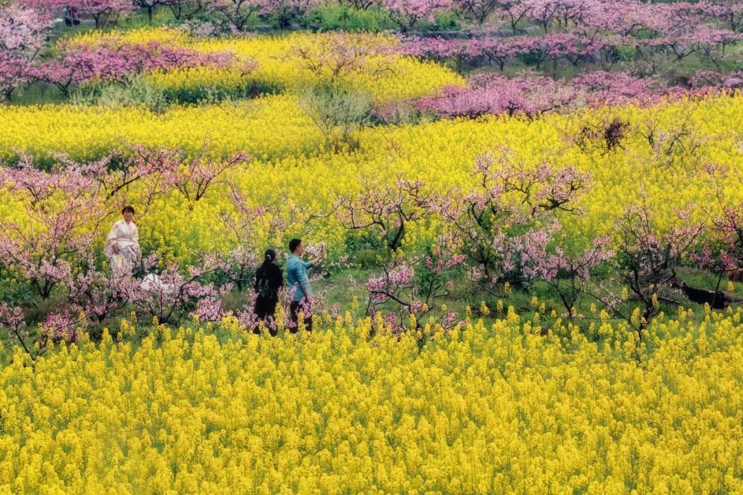 总是恶心、呕吐和腹泻，肠胃为何老是春天“感冒”？