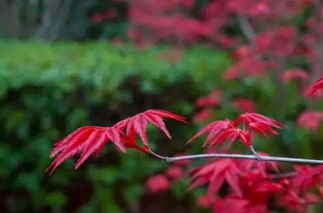 生活知识分享：让生活更简单的实用小技巧