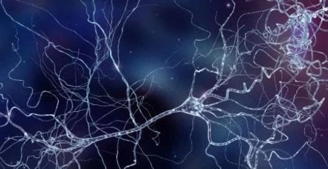 脑细胞有救了！减轻“脑梗”伤害，《自然》研究发现治疗新方法