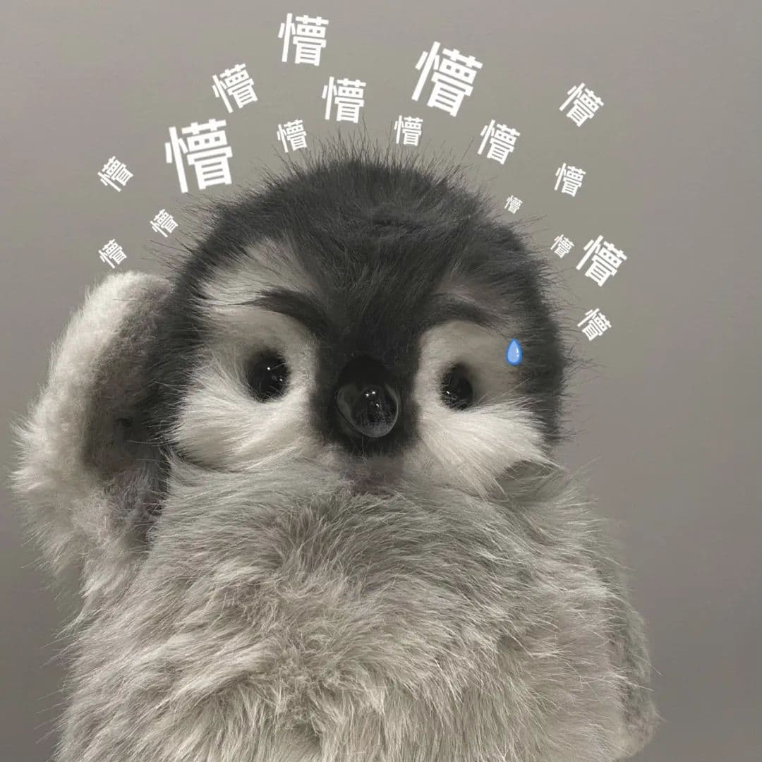 案外人侵占法拍房拒不腾退，买受人该如何维权？
