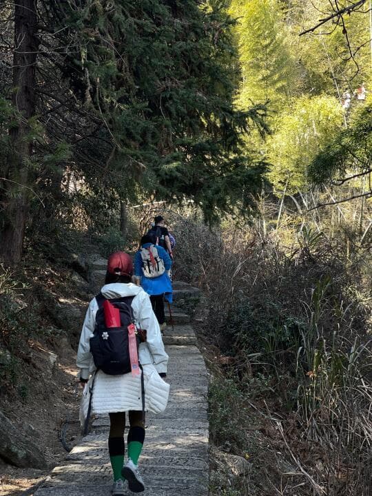 春日徒步踏青全攻略：经典路线、趣味活动与装备推荐