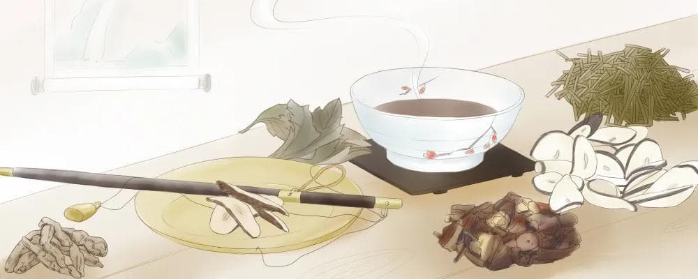 龙眼叶的功效与作用