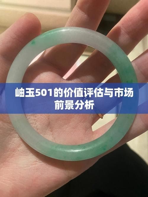 岫玉501的价值评估与市场前景分析