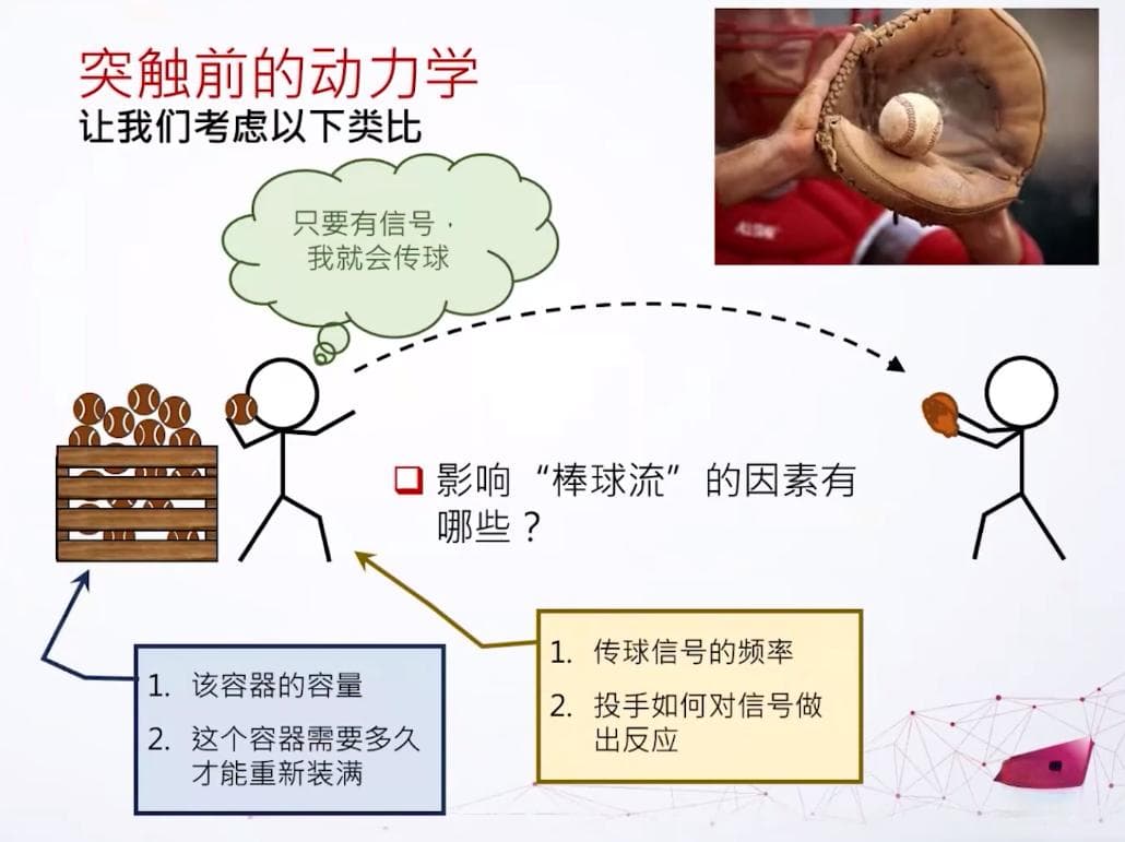 突触动力学如何启发对大脑神经网络的认识？
