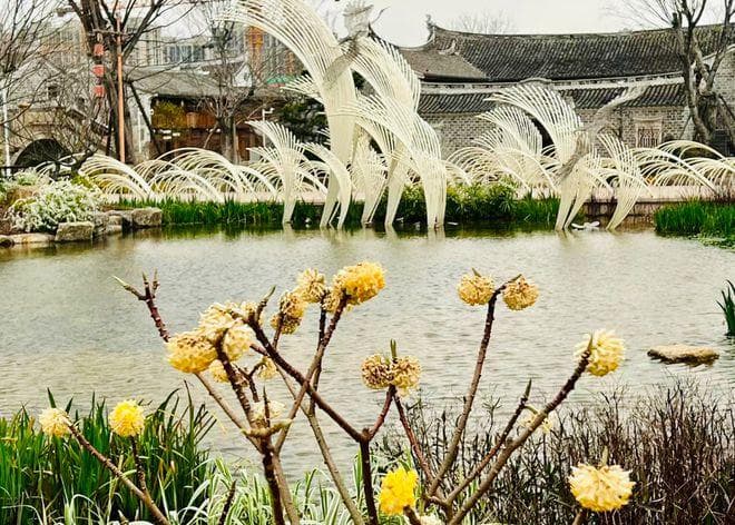 同事间如何相处：构建和谐的工作关系