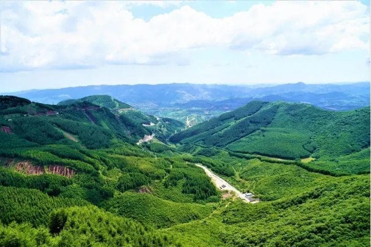 西海固：从“苦瘠甲天下”到“绿水青山”