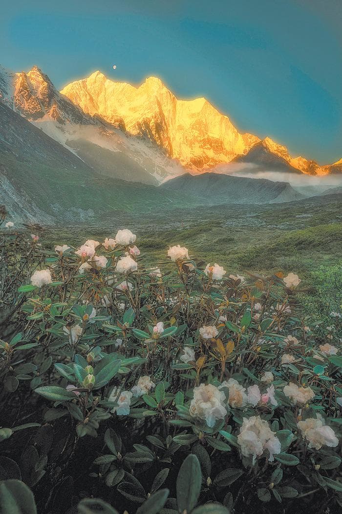 景深合成获得清晰景色