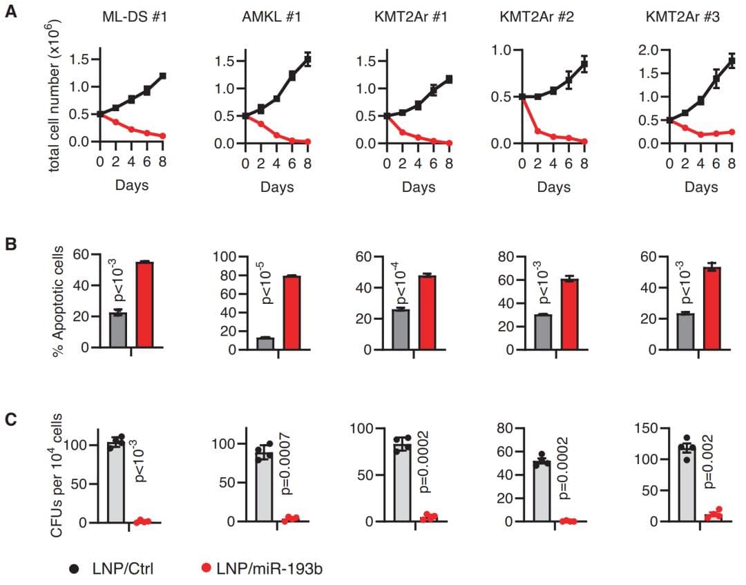 德国研究：LNP封装miR-193b可精准治疗儿童AML