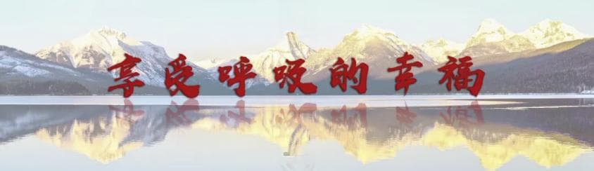 降钙素原指导策略显著降低慢阻肺病急性加重住院患者的抗生素处方率
