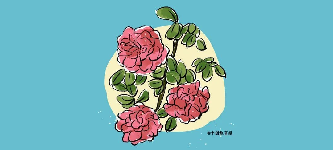 送给老师的10个心理解压好方法，建议收藏