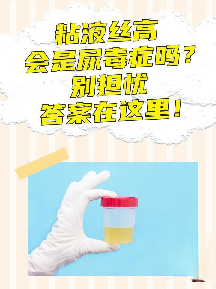 粘液丝高会是尿毒症吗？别担忧，答案在这里！