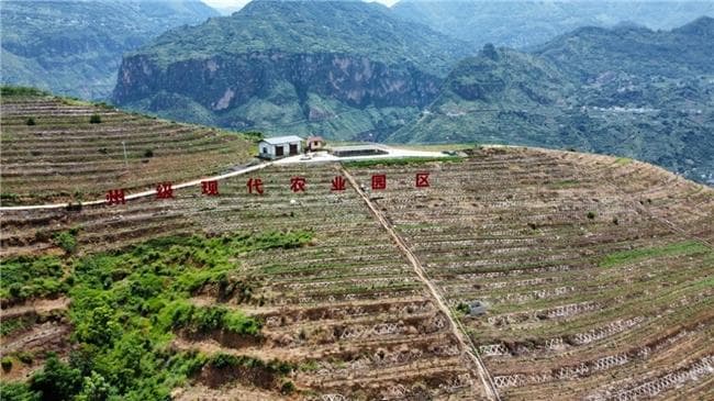 智能水肥系统+无人机监测，金阳百香果产业插上科技翅膀