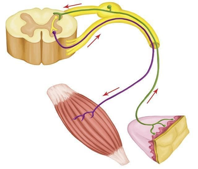 糖尿病友：这个方法降血糖立竿见影，科学运用，轻松控糖