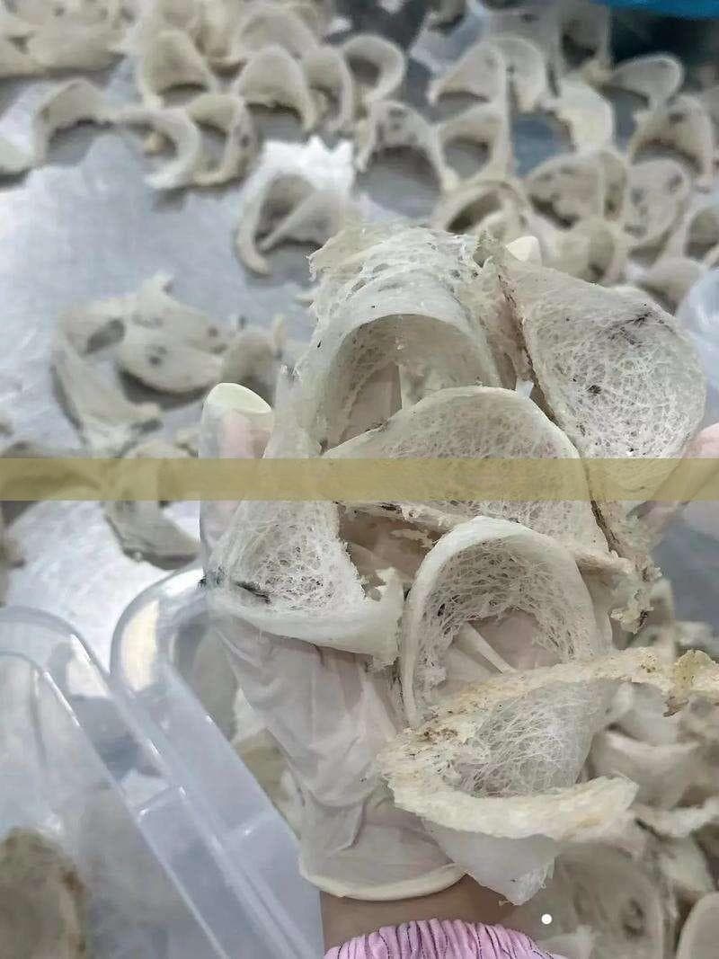 天然燕窝的储存方法与保质期指南