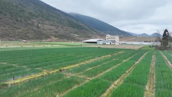 金融如何赋能新农人创业？丰都这样做