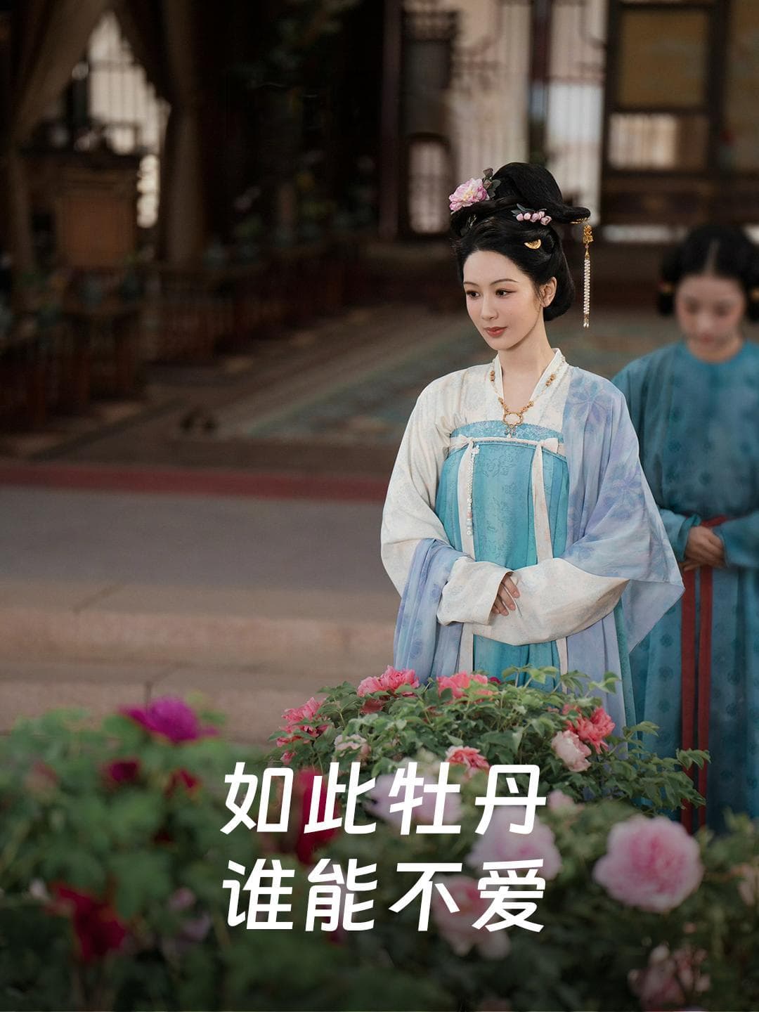 《国色芳华》最强主角，才不是杨紫和李现