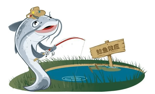 [职场] 鲶鱼效应是什么意思 鲶鱼效应在企业管理中有什么作用