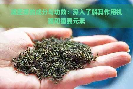 减肥茶的成分与功效：深入了解其作用机理和重要元素
