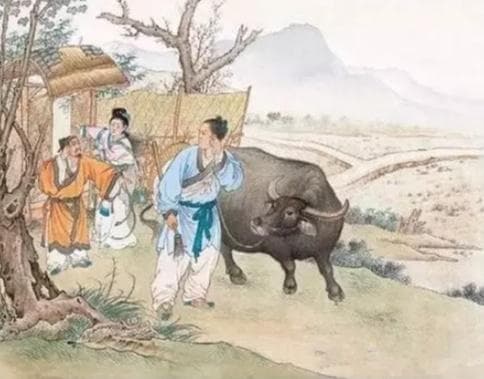 牛郎织女天上星，如何化作有情人