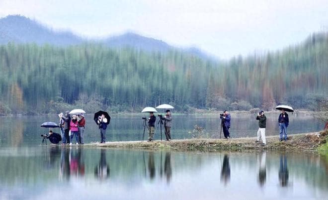 雨中垂钓，乐在其中：下雨天钓鱼技巧全解析