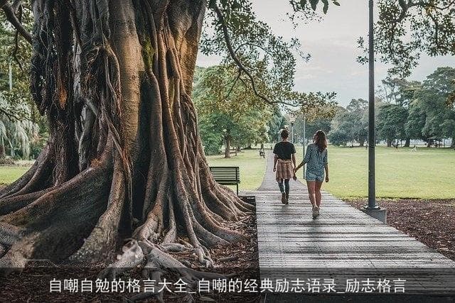 自嘲自勉的格言大全：在幽默与智慧中成长的旅程