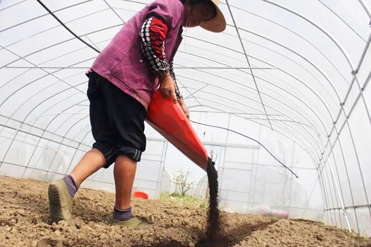 农民种地施肥时，有机肥和生物有机肥到底用哪种更好？