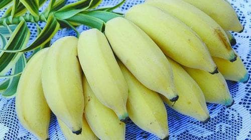 芭蕉的功效与作用、禁忌和食用方法