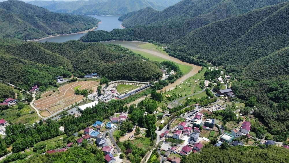 浙江安吉：青年“唤醒”青山