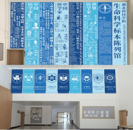 湖北科技学院：三维融合数智赋能，课程思政开启新篇章