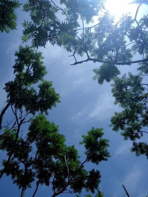 刷礼物行为背后的心理分析