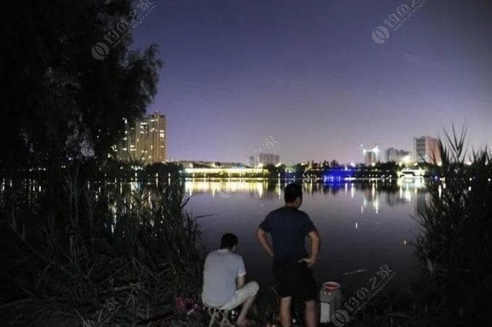 夜钓全攻略：季节、时间、技巧和安全，全在这，一次性分享给你！