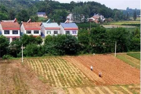 一亩等于多少平方米？"一亩三分地"的由来与历史渊源