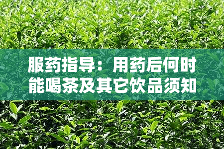 服药指导：用药后何时能喝茶及其它饮品须知