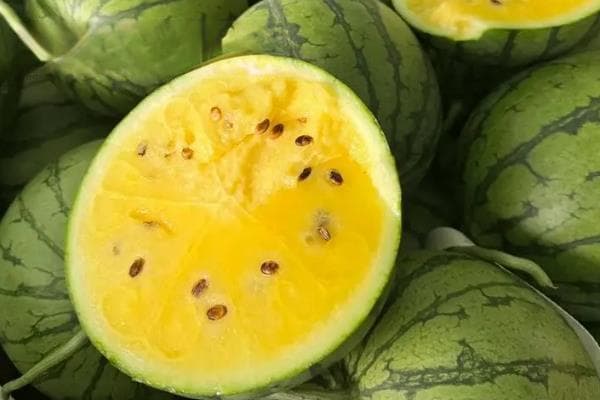 特小凤西瓜与普通西瓜的区别：甜度、果瓤、大小均不同