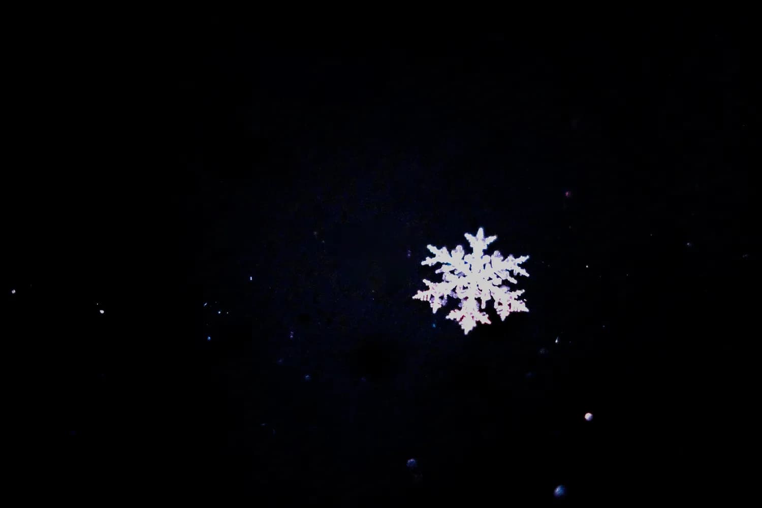 北京冬奥会雪花引导牌：中国结艺术的现代演绎