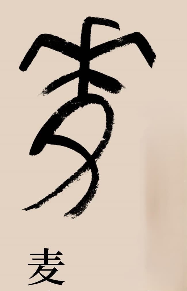 从“来”和“麦”看汉字造字的内在逻辑