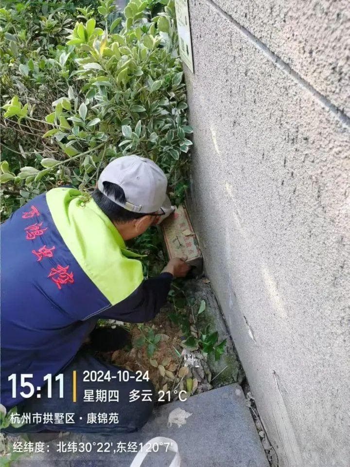 花1400元抓到一只老鼠，杭州女子感叹：买到一个教训