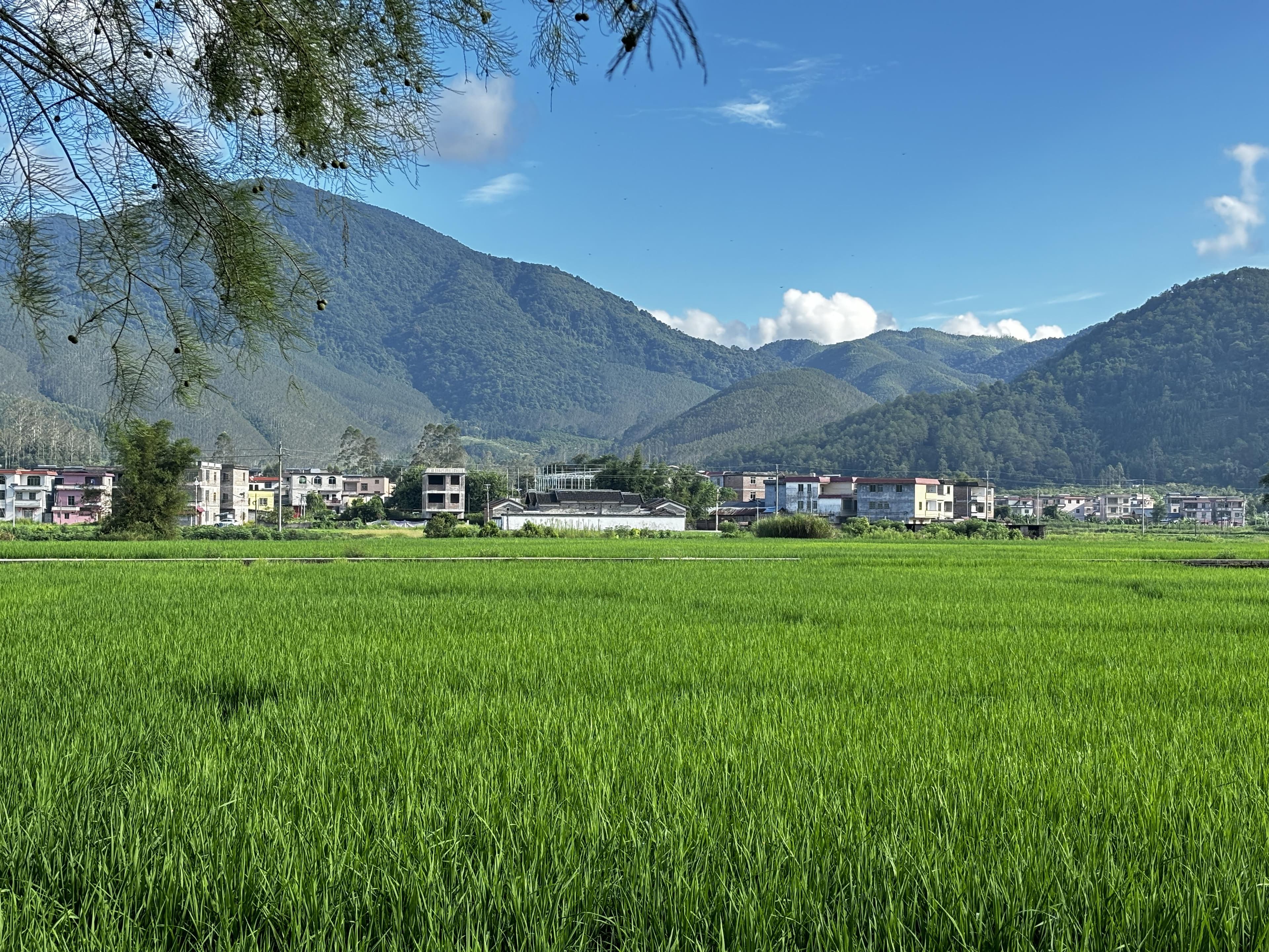 乡下老家的宅基地值得重建吗？